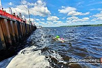 Более 230 человек зарегистрировались на заплыв «Swimcup – Волга» в Кинешме