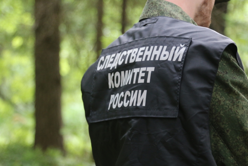 В Кинешме рецидивист во время пьянки забил насмерть пенсионера