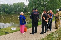 В Плёсе в пруду обнаружен утопленник