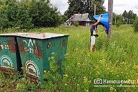 На Госуслугах можно проголосовать за поселки и деревни Кинешемского района, где нужен интернет