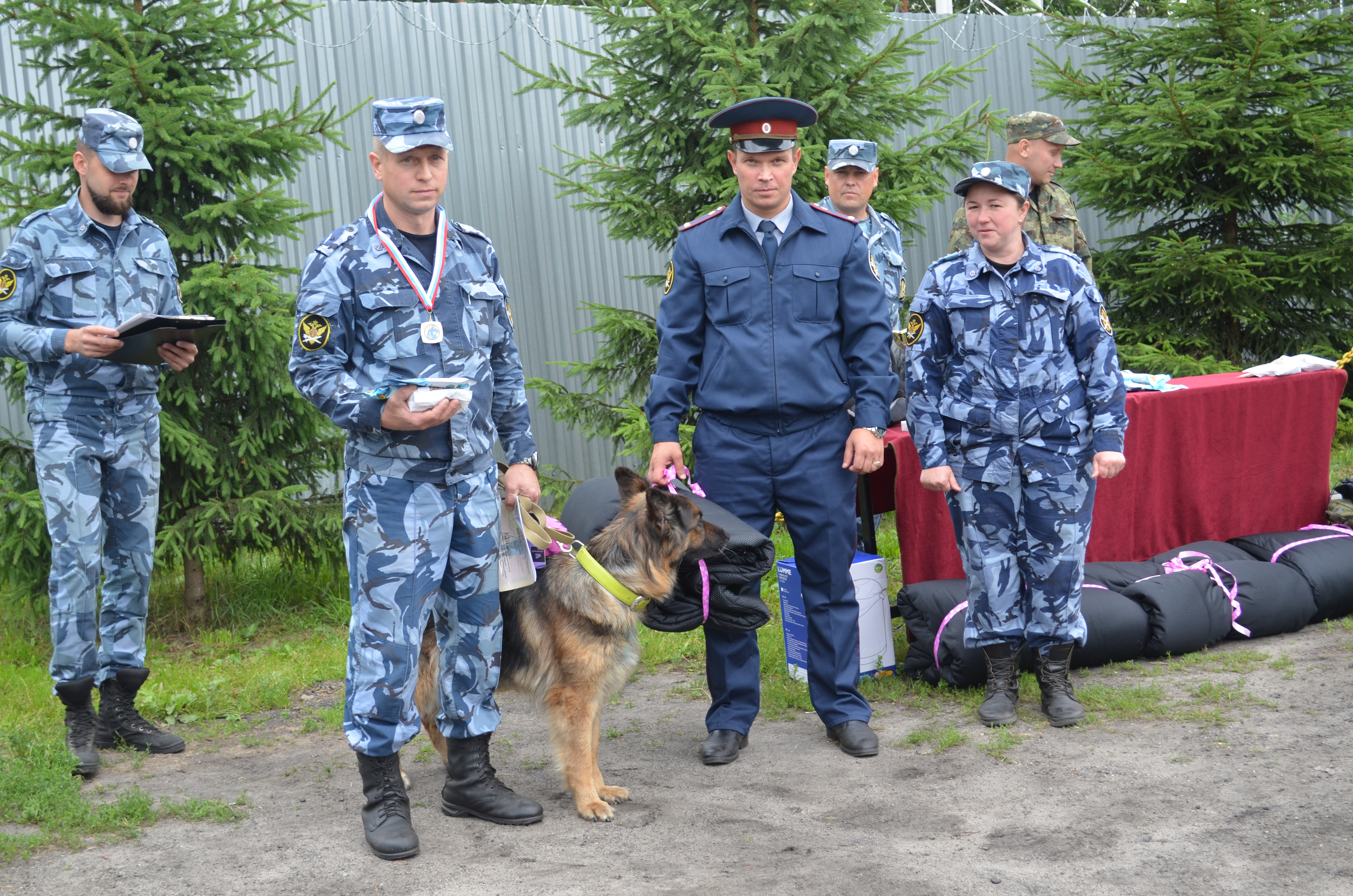 Фото военных кинологов