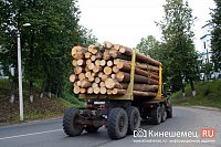 Из Ивановской области пытались незаконно вывести в Узбекистан лесоматериалов на 10 млн рублей