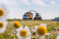 Ивановские аграрии заготовили уже более трети от необходимого объема кормов