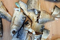 Наркотики для осужденного ИК-2 спрятали в вобле