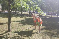 УГХ скосило траву на Волжском бульваре