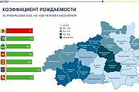 В Кинешме самый низкий коэффициент рождаемости среди крупных городов региона