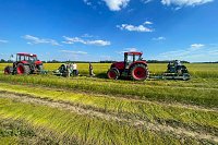 В Ивановской области началась уборка льна