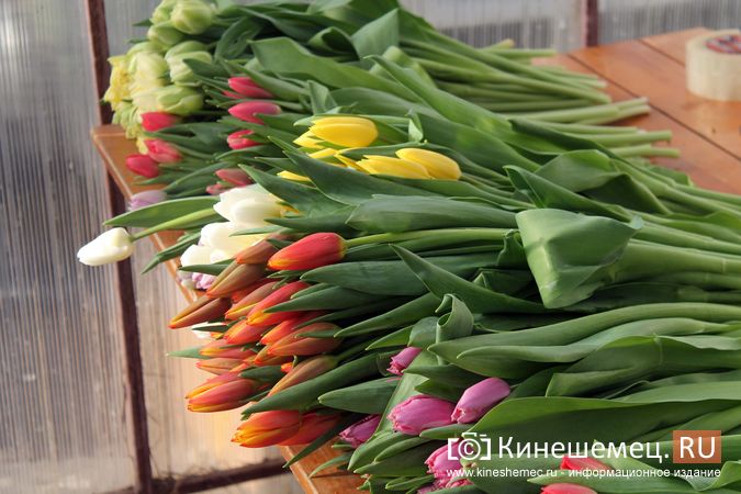 По каким поводам дарят цветы?