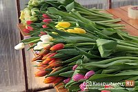 По каким поводам дарят цветы?