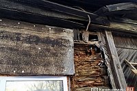 Прокуратура Кинешмы проверяет информацию о нарушении жилищных прав многодетной семьи