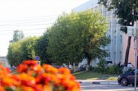 Кто в Кинешме отвечает за аренду и продажу земли и городской недвижимости?