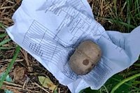 В Кинешме на ул. Парковой сотрудники Росгвардии обезвредили гранату РГД-5