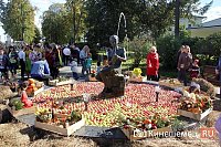 Афиша выходного дня в Кинешме: рок-концерт на территории Автобойни и День Волжского бульвара