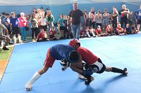 В Кинешме прошел традиционный турнир по панкратиону