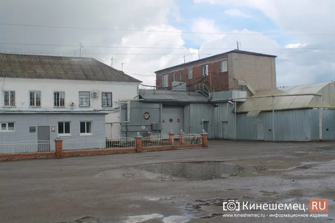 В кинешемскую колонию строгого режима пытались пронести наркотики в ошейнике кота