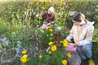 В кинешемском детском доме прошёл осенний трудовой десант