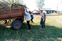 Жители Кинешемского района присоединились к экологическому субботнику