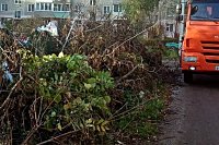 Возле свалок Кинешмы наблюдается массовое складирование растительных отходов