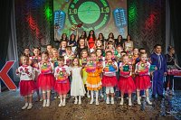 Кинешемской студии эстрадной песни «Камертон» исполняется 15 лет