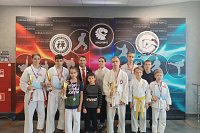 Кинешемцы завоевали медали открытого первенства области по всестилевому каратэ