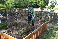 Детский сад №31 победил в областном смотре-конкурсе территорий образовательных организаций