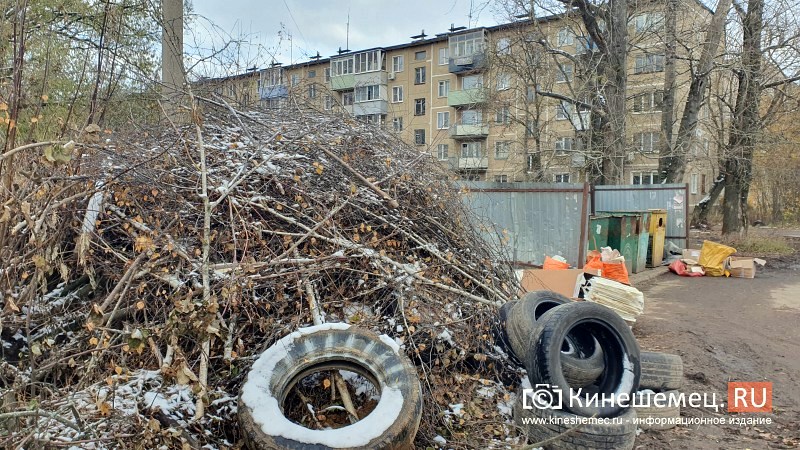 Ликвидация несанкционированных свалок обошлась бюджету Кинешмы в 5 млн рублей