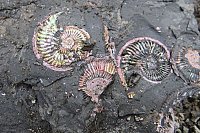 В Ивановской области МТС запустила LTE для исследования дна древнего моря