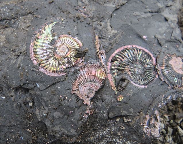 В Ивановской области МТС запустила LTE для исследования дна древнего моря