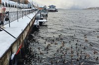 В Кинешме запрещён выход на лёд
