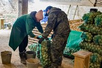 Ивановские аграрии получили более 93% годового объема федеральных субсидий