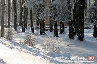 8 декабря в Ивановской области ожидается мороз до -26˚С