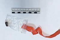 В лесу по Кинешмой у тайника с наркотиками задержали двоих рецидивистов