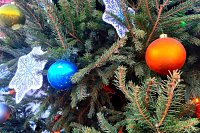 В селах Гаврило-Посадского района на 30% подросла скорость мобильного интернета