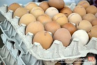 УФАС возбудило дело в отношении кинешемской и ивановской птицефабрик