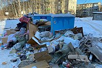 Замерзла гидравлика мусоровозов: регоператор назвал причину завалов на контейнерных площадках
