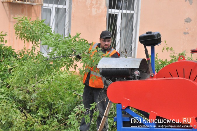 Аренда измельчителей веток