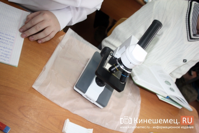 Как подготовить курсовую работу студенту?