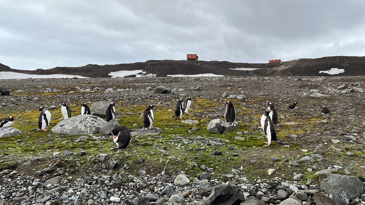 МТС обеспечила связью полярников на станции Беллинсгаузен в Антарктиде