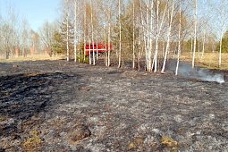 С 26 апреля на территории Ивановской области вводится особый противопожарный режим