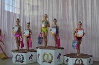 Кинешемские гимнастки завоевали награды турнире в честь Дня Победы