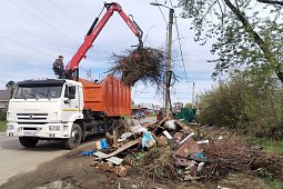 С начала двухмесячника по уборке с улиц Кинешмы вывезено более 5100 кубометров веток и мусора