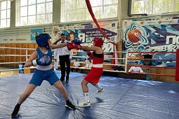 В Кинешме прошел турнир по боксу памяти Героев-кинешемцев