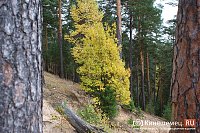 В Кинешме будут судить двоих подростков, пытавшихся обустроить «закладки» с наркотиками