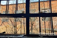 В промзоне Кинешмы обнаружен изъеденный собаками труп мужчины