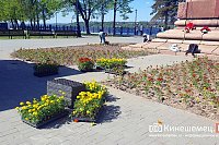Цветов на кинешемских клумбах высадят несколько меньше обычного