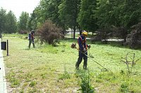 С 27 мая в Кинешме начался покос травы, в микрорайоны поедет трактор с насадкой