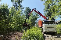 В июне с контейнерных площадок Кинешмы вывезено 1560 кубических метров веток и мусора