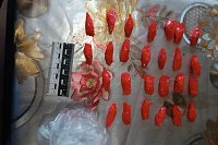 В Кинешме задержали двоих наркодилеров с гашишем и марихуаной