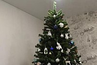 Выбор искусственной елки: практические советы, популярные места покупки и оригинальные решения