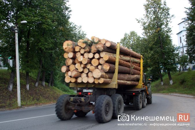 В Центе по охране лесов в Ивановской области не эффективно расходовали бюджетные средства